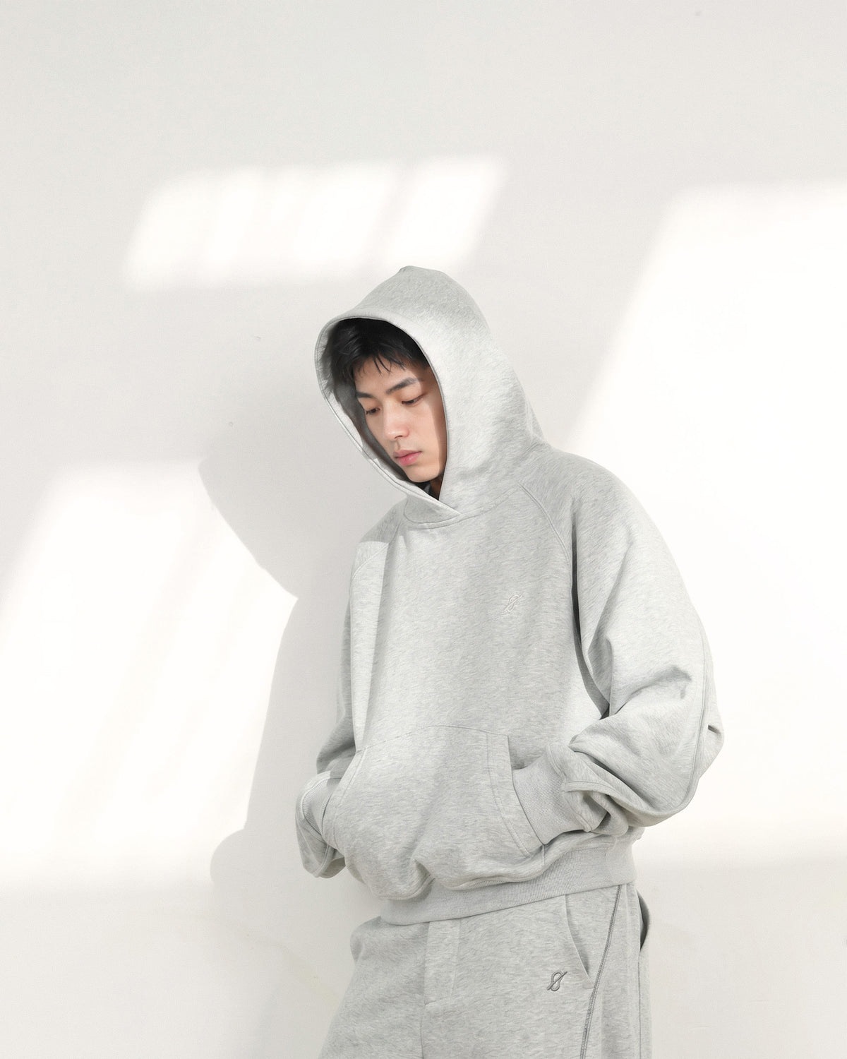 A26-PR-H / Arc Seam Hoodie (L-Grey)