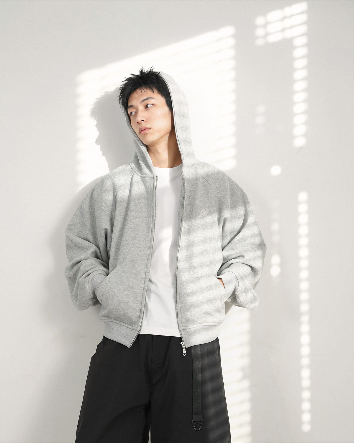 A26-PR-Z / Arc Seam Zip Hoodie (L-Grey)