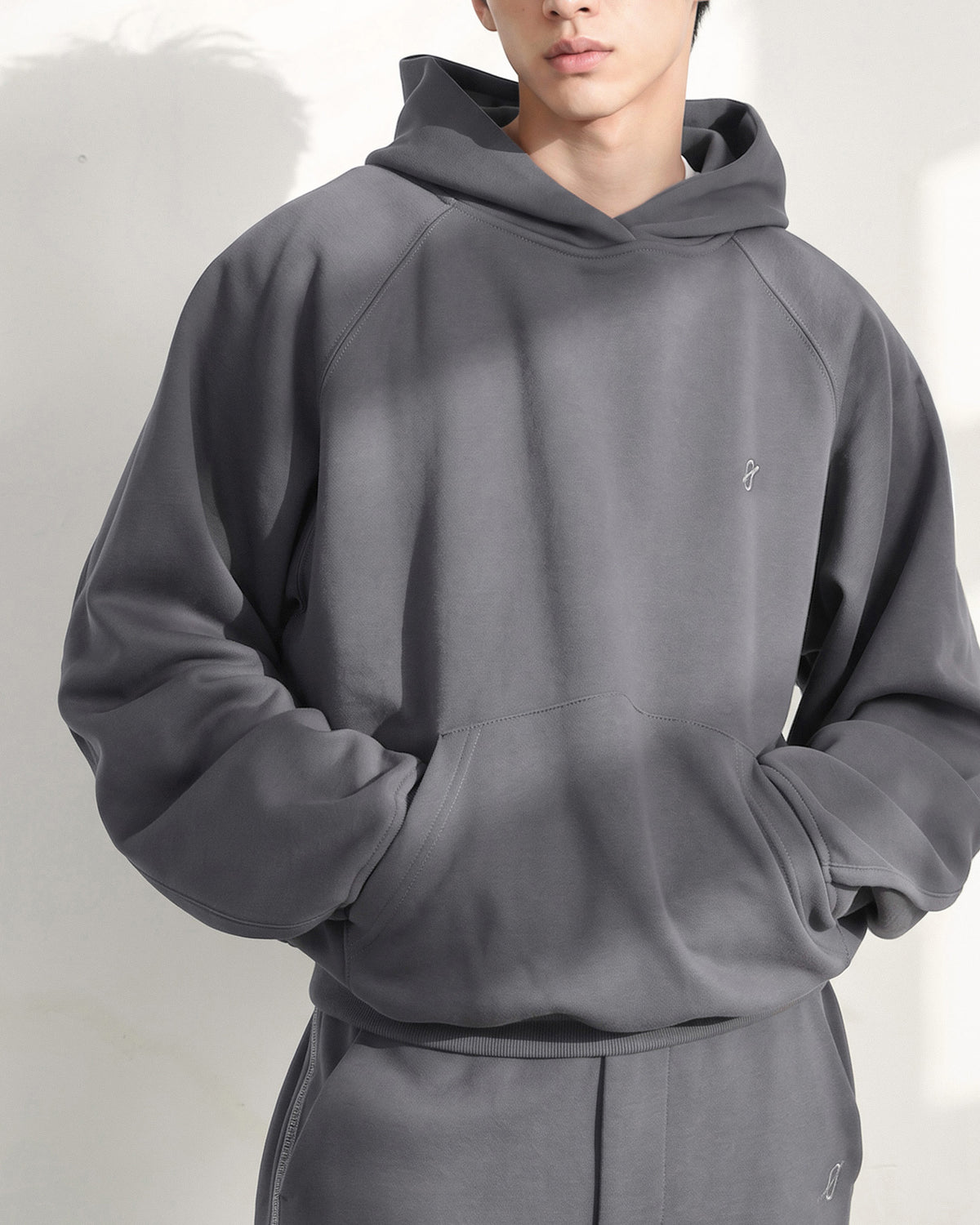 A26-PR-H / Arc Seam Hoodie (D-Grey)