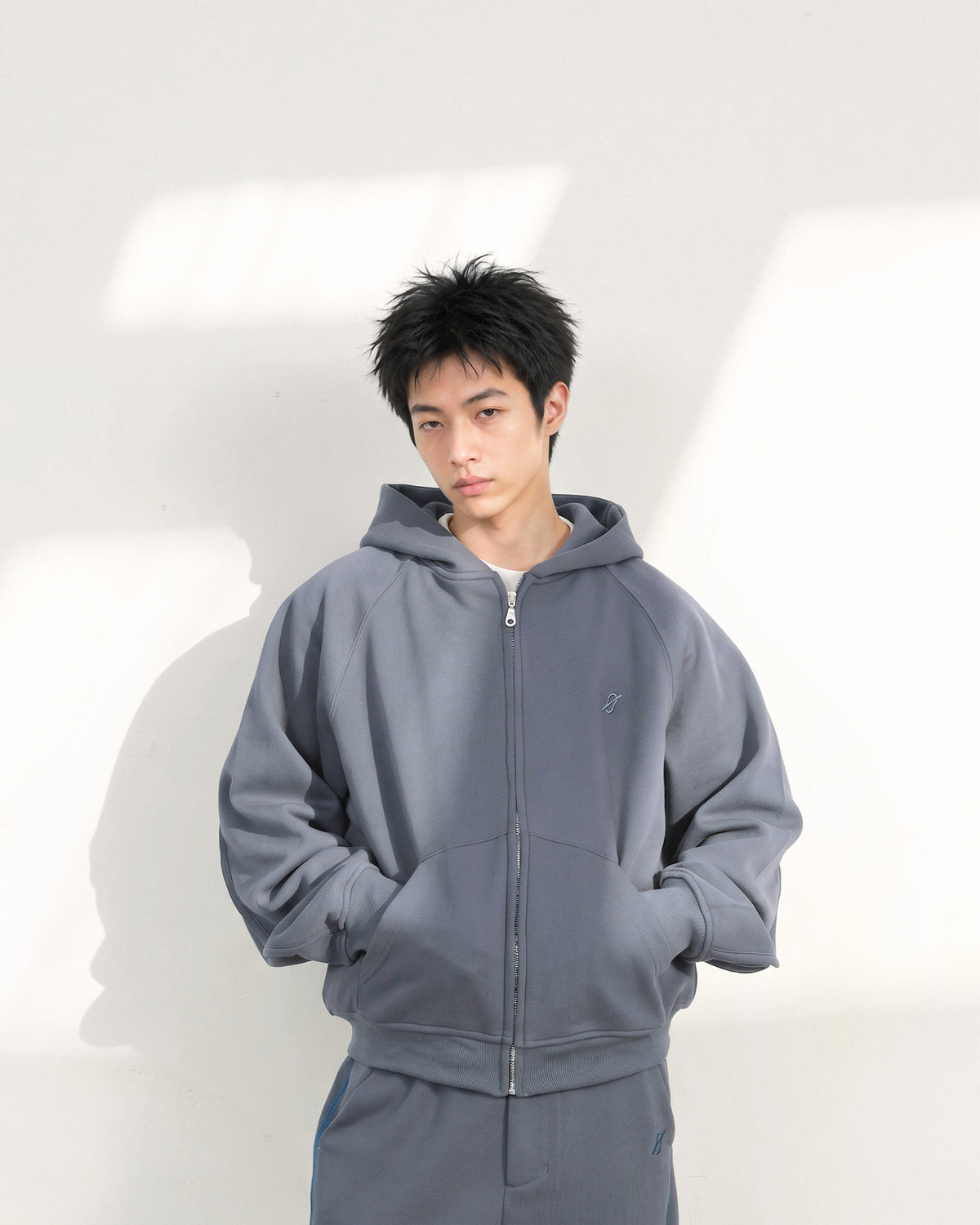 A26-PR-Z / Arc Seam Zip Hoodie (L-Blue)