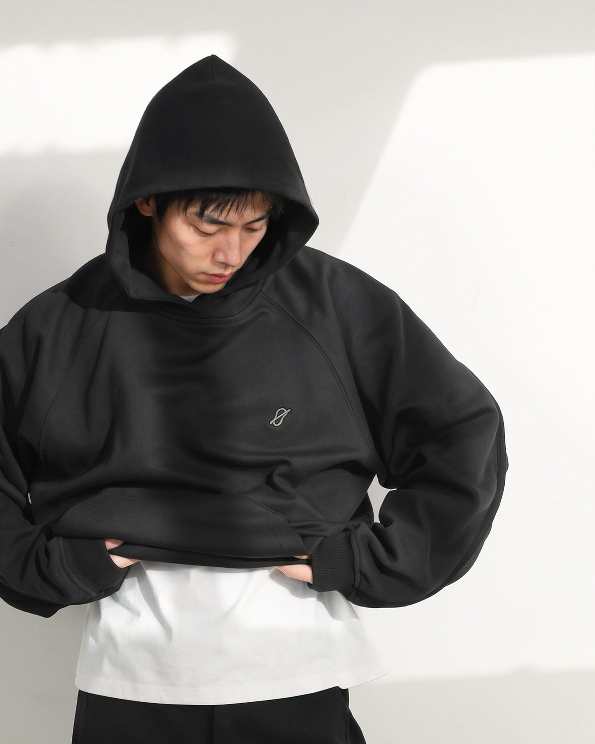 A26-PR-H / Arc Seam Hoodie (Black)