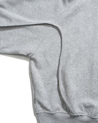 A26-PR-Z / Arc Seam Zip Hoodie (L-Grey)