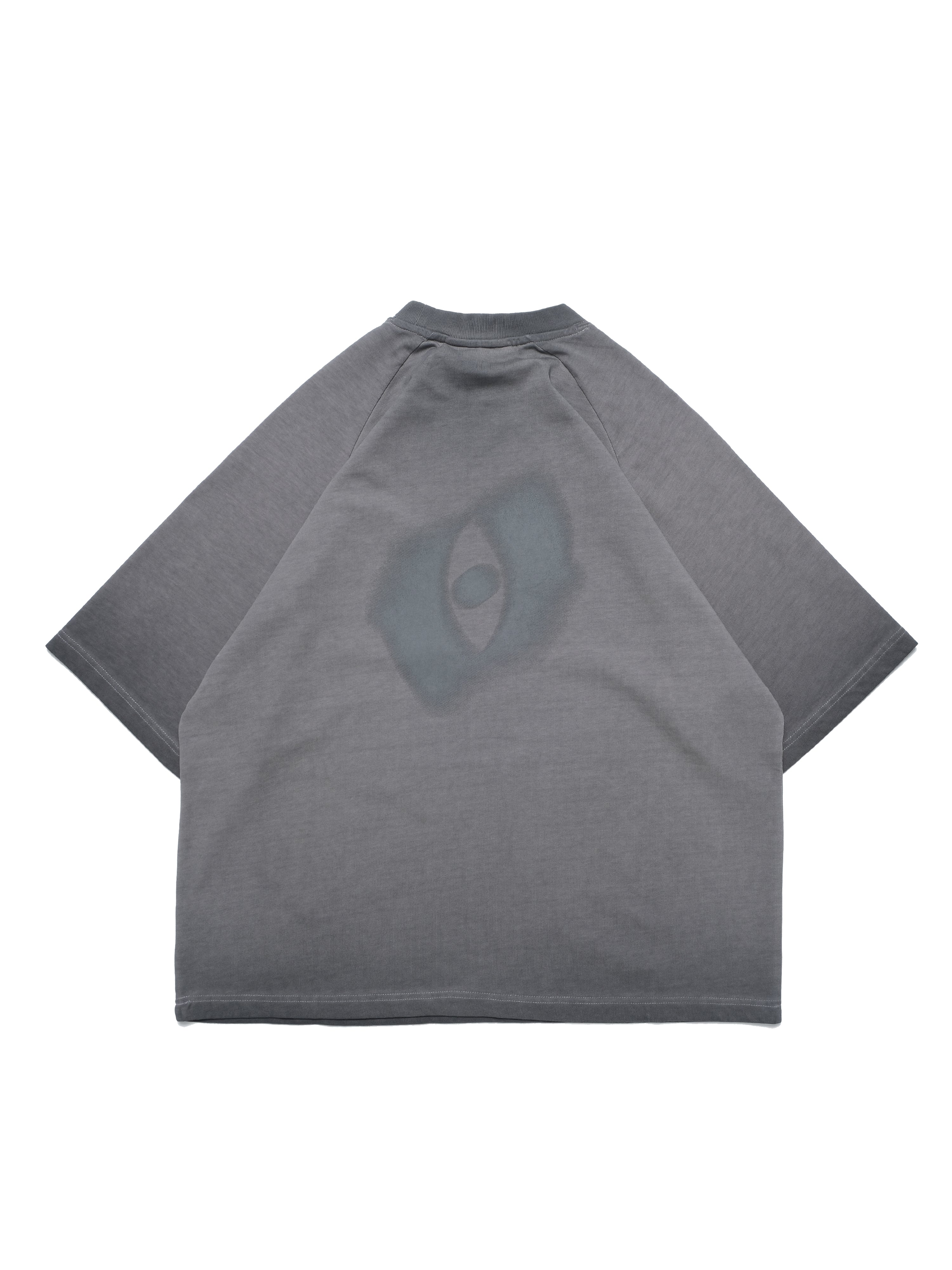 C2/ S25-C02-T Blurred T-shirt (Grey)