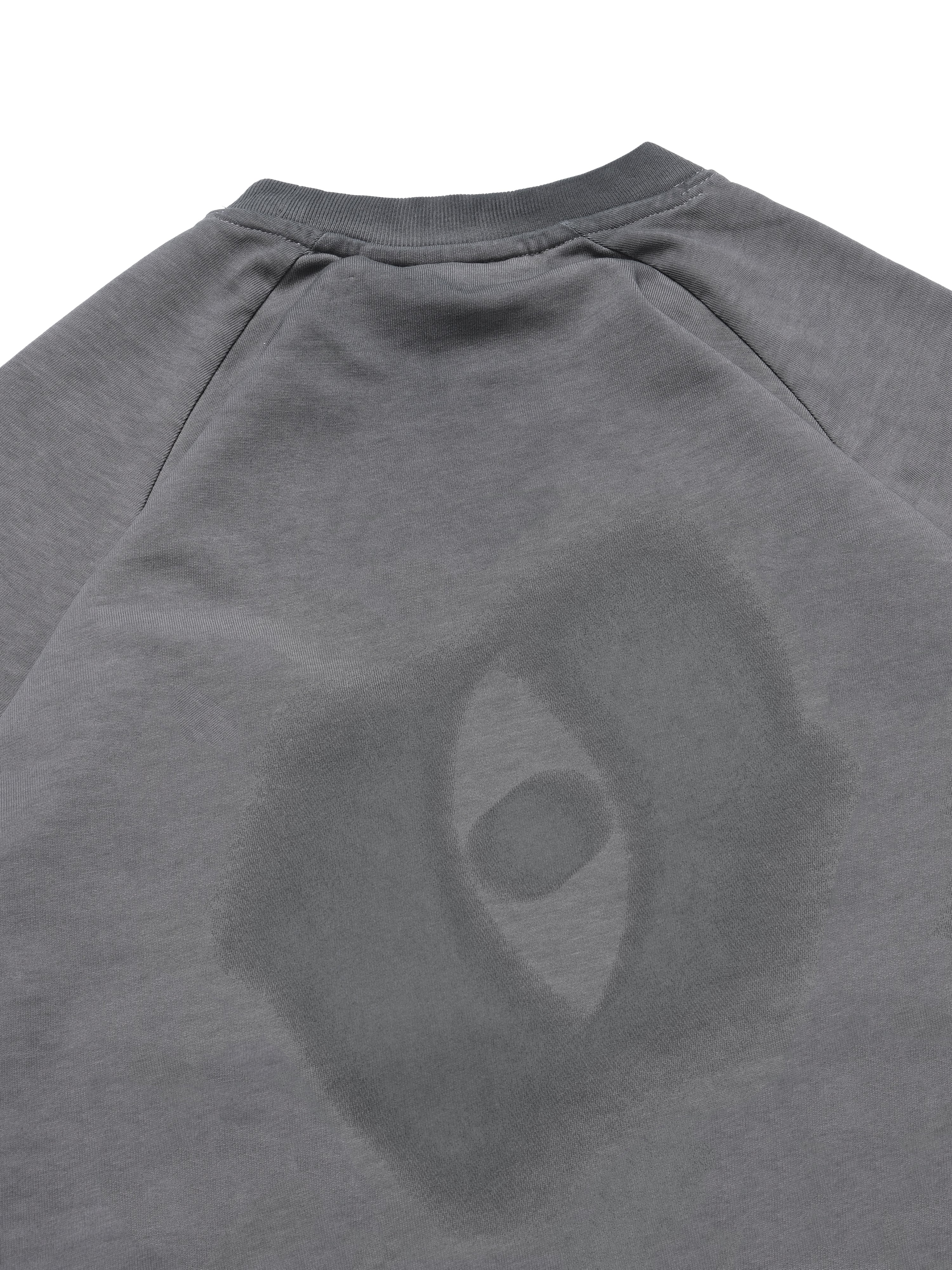 C2/ S25-C02-T Blurred T-shirt (Grey)