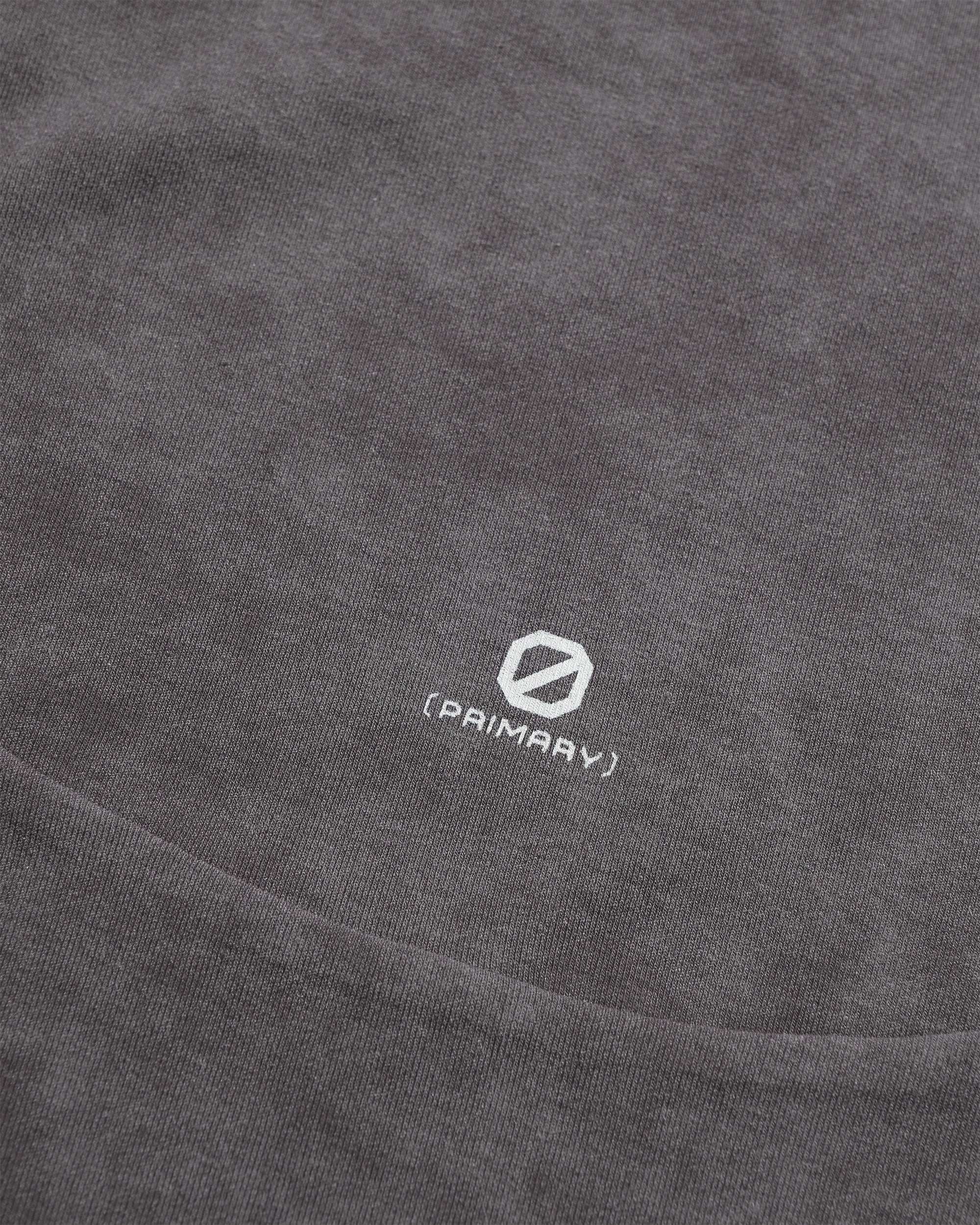 S26-PR-T1 / Washed Light Tee (Grey)